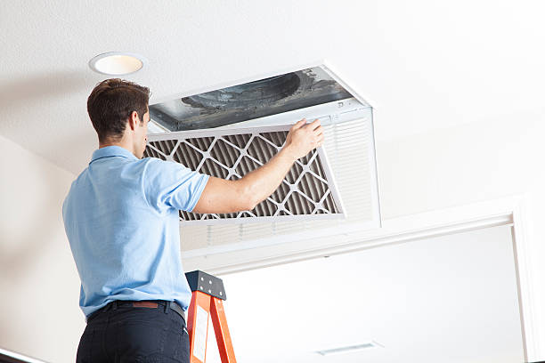 Best Air quality test  in Cherokee, IA